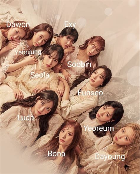 wjsn|wjsn members name.